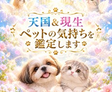 ペットからのメッセージをお伝えします イメージ1