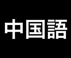 初級クラスの中国語のレッスンをします イメージ1