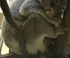 気が済むまで何時間でも話聞きます イメージ1
