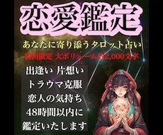 初回限定 恋の悩み/2人の現在・未来を占います イメージ1