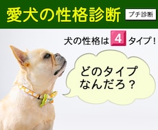 4タイプ別プチ診断⭐︎愛犬の性格診断します 性格タイプを知れば、愛犬の気持ちや行動がよくわかる！