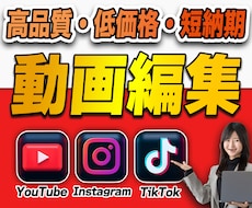 YouTubeやSNS等の動画編集承ります YouTube・SNS・縦型ショート対応｜丸投げOK