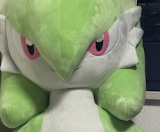 雑談・会話しながらポケモン対戦付き合います イメージ1