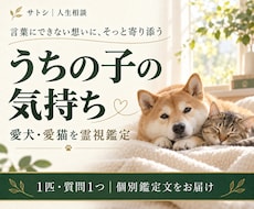 愛犬・愛猫の気持ちとあなたへの想いを霊視します イメージ1