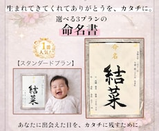命名書　名前に込めた想いを形にします イメージ1
