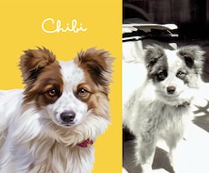 うちの子・ペットの似顔絵イラストを制作します 犬・猫・ペット全般｜こんな写真しかないんですけど…にも対応可