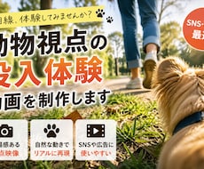 動物視点の没入体験動画を制作します 臨場感ある視点で印象に残る映像を制作します