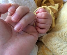 確認用】こちらからご案内します こちらは確認用の専用出品です(*^^*)