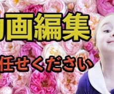 動画編集承ります 動画制作でお困りの方、お手伝い致します