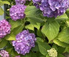 精神面が疲れている方の心のサポートをします