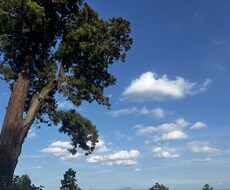 タロットを使い1問1答ワンコインで占います イメージ1
