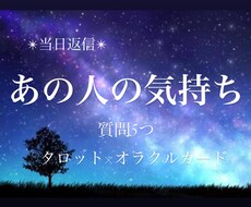 当日返信✨彼や彼女の本音をタロットでみます 質問6つまで✨タロット×オラクルカードで鑑定