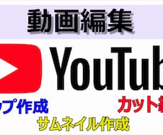 Youtubeの動画編集承ります イメージ1