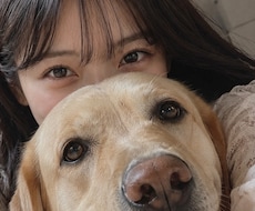 1日チャット❀【お電話でお話した方限定】まってます お友達みたいに仲良く自由にお話ししよ( ¨̮ )ෆ⸒⸒