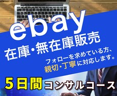 ebay輸出　5日間のコンサルやります 知りたいことが限られているけど誰に聞けばいいか分からない人へ