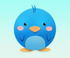 １日3回以上20日間ツイッターで広告をつぶやきます 【販売実績800件】フォロワー3．5万人に20日間拡散♪