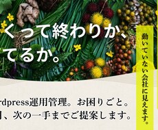WordPressの月次点検と運用管理をします イメージ1