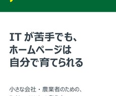 WP歴20年｜記事入稿・更新＋サイト診断します イメージ1