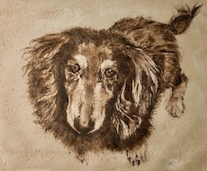 革に電熱ペンで犬の似顔絵(リアル画)描きます 牛革に電熱ペンで焼きつけながらセピアの陰影で絵を描きます。