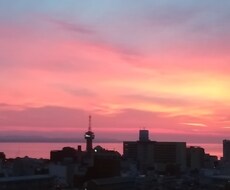 ネーミング、名付け提案致します 不動明王さま、猿田彦さまから幸せになる名付けをいただきます。