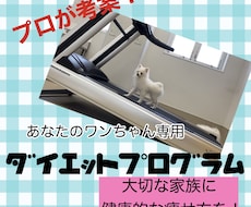あなた専用！犬のダイエットプログラム考案します 年間200症例！動物理学療法士によるダイエット、生活環境改善