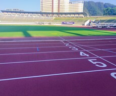 長距離走、マラソンランナーのアドバイス致します イメージ1