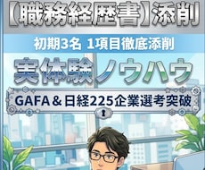 初期3名限定！職務経歴書の1項目を徹底添削します イメージ1