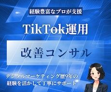 TikTokの運用の改善アドバイスをします プロがTikTokを伸ばすために丁寧に提案をします