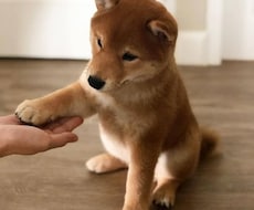 彼氏との気持ちの温度差を解消する方法お伝えします もっと好きになって欲しいを叶えませんか？
