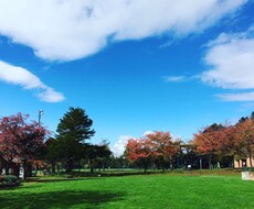 これからの人生気楽に生きれます 他人の事が気にならなくなる　イライラしなくなる