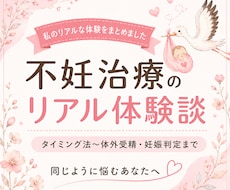 人工授精6回→体外受精で妊娠した体験をお話します 不妊治療の流れ・通院・痛み・費用の記録。購入後の質問もOK◎