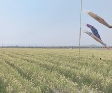 どんなお話でもお聞きします 今日あったストレスは今日のうちに発散しましょう！500円/時