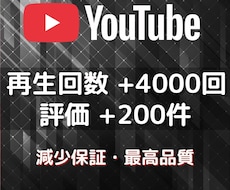 YouTubeの再生回数4000回増やします イメージ1