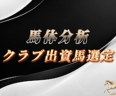 クラブ馬出資選定のお手伝いをいたします イメージ1
