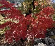 愚痴や不満に思っていることを聞きますます イメージ1