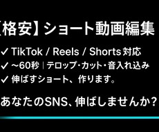 コスパ重視_ショート動画編集｜バズらせます イメージ1