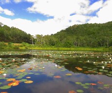 長野県限定！温泉宿探しお手伝いいたします 長野県オススメの温泉に入りたい！