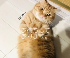 問題をより深く分析し、具体的な対策を占います イメージ1