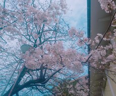仕事、恋愛、人間関係の悩みトークルームで聞きます イメージ1