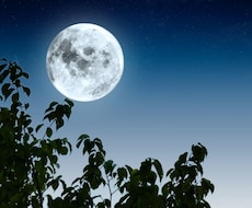 複数占術で人生の流れを読み解きます イメージ1