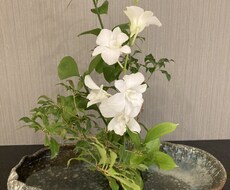 土日限定！（曜日要相談）暇つぶしのお相手致します イメージ1