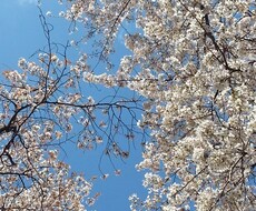 どこかに逃げ込みたくなった時のお相手します イメージ1