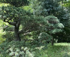 気になること・悩みをお聞きします イメージ1