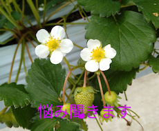 悩み相談お聞きます イメージ1