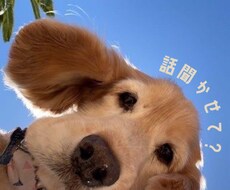 なんでもお話しお聞きします イメージ1