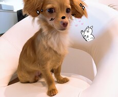 人生の悩み相談や恋愛相談のります イメージ1