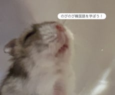 韓国語を教えます イメージ1