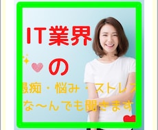 IT業界の悩み・愚痴・ストレスぜんぶ吐き出せます IT業界の愚痴聞き屋、話し相手心のメンテナンス