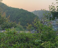 高尾山の美しい景色お届けします イメージ1