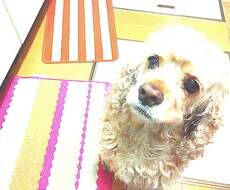 なんでもお話聞きます！ イメージ1